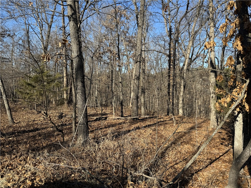 Nelson Sub Bvv - Land