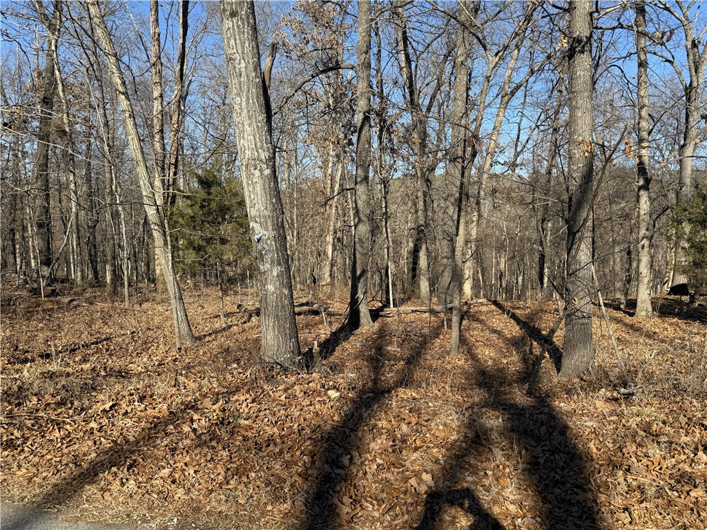 Nelson Sub Bvv - Land