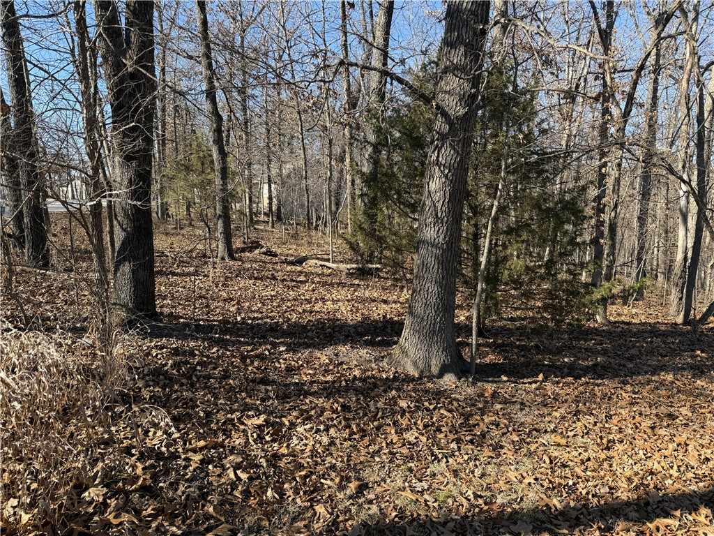 Nelson Sub Bvv - Land