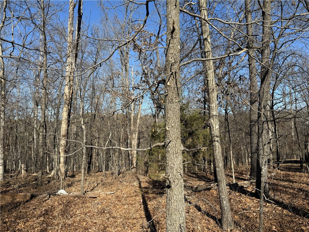 Nelson Sub Bvv - Land