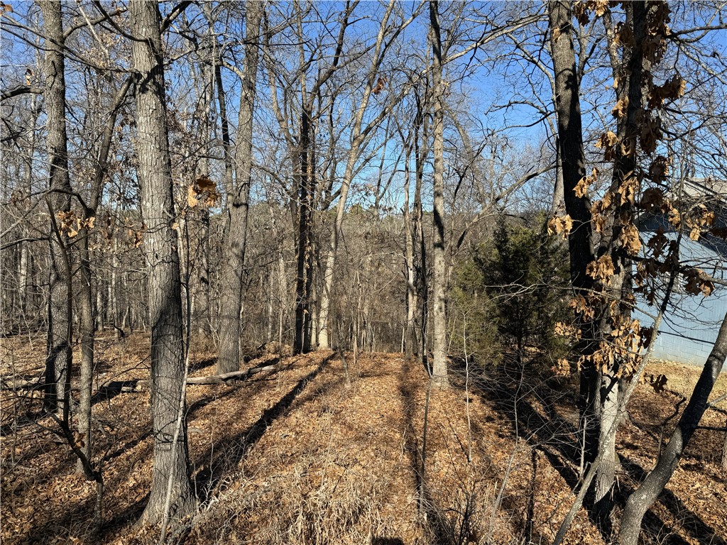 Nelson Sub Bvv - Land