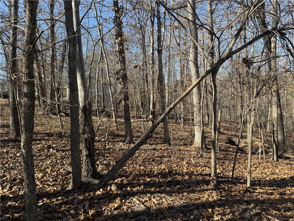 Nelson Sub Bvv - Land