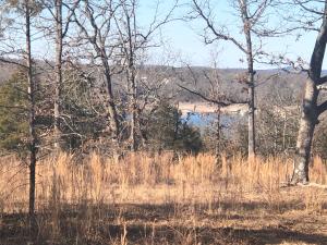 Looking for seclusion? Tranquility? Plus a lakeview? All still in town? Here it is. This 4.17 acre parcel is an amazing place for that quiet lakehouse you have been looking for. Buyer to verify existence of all utilities.