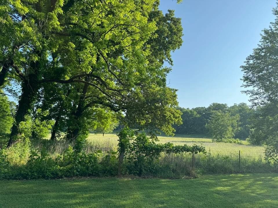 Chattin Valle Sub Cave Spgs - Residential