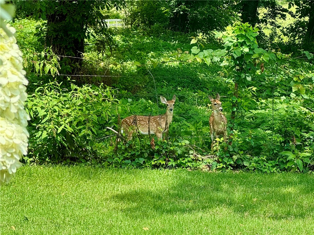 Chattin Valle Sub Cave Spgs - Residential
