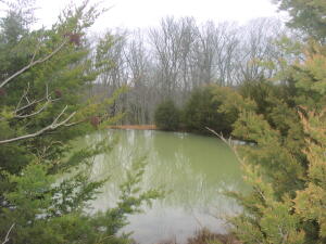 Very nice piece of Newton County property. Property is fenced and crossed fenced. Very easy access with county road frontage and only about 3/4 of a mile off pavement. Nice large pond on property. Mostly wooded with about 5 acres of old pasture land that is fenced. Electric on site and rural water available. Good place for horses (horses are currently on property). Several good building sites on property, either in the pasture area or off in the woods for privacy. Good views from the property.
