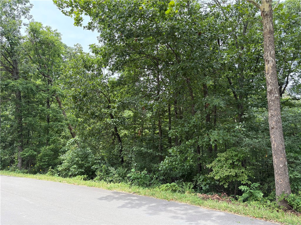 This prime lot in the new TRAIL RIDGE subdivision offers the perfect blend of convenience and nature. Located within a highly rated Bentonville school district, it features buried utilities, and high-speed internet. Enjoy the serene, wooded surroundings and easy access to local trails including Tunnel Vision and Little Sugar. Plus, you're close to essential amenities, the Bella Vista Country Club/Golf Course, and Scottsdale Golf Course. Build your dream home with the neighborhood developer or bring your builder. The minimum build size is 1950 sf. This lot is adjacent to the Tunnel Vision trail. Don’t miss out on this unique opportunity in vibrant, growing Bella Vista, AR.