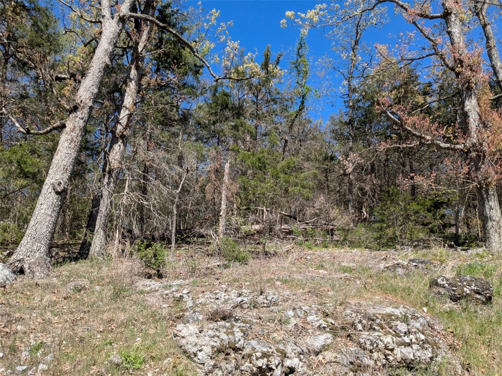 Unit 9 Holiday Island - Land