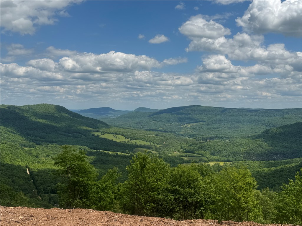 Breathtaking 1.63 Acres with Panoramic Views of the Arkansas Grand Canyon. Don’t miss this rare opportunity to own a stunning parcel overlooking the iconic Arkansas Grand Canyon. This property offers unobstructed views of the majestic Ozark Mountains, complete with rolling peaks, deep valleys, and unforgettable sunrises. Located right on scenic Highway 7, this prime lot features road frontage and is ready to build with rural water and electric already on site. Whether you’re dreaming of a peaceful retirement chalet, a weekend escape, or a high-demand rental cabin, this property offers the perfect canvas. Just minutes from the charming tourist town of Jasper, and close to the Buffalo National River, Ozark National Forest, and countless hiking trails, this location offers not only natural beauty but also unmatched access to the best of the Arkansas outdoors. Properties with this level of natural beauty and accessibility rarely hit the market. Come explore the possibilities and see why this lot is perfect.