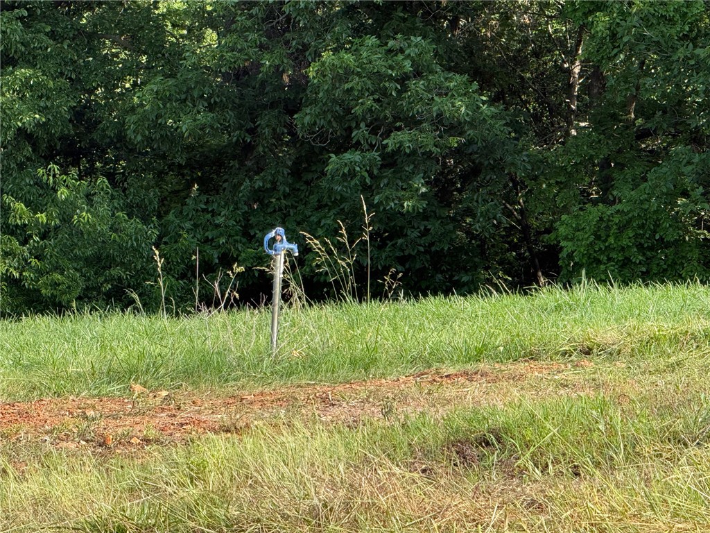 Rural - Land