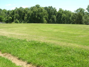 Park like setting and great building site with lots of nice level acreage with highway frontage gently rolling to a nice tree shaded building site on the back side of property on 3.11 acres total. The back end of the property is adjacent to the Dogwood Springs subdivision. Only 4/10 of a mile off of Highway 7 North on Wooded Hills Road. Recent survey on file.