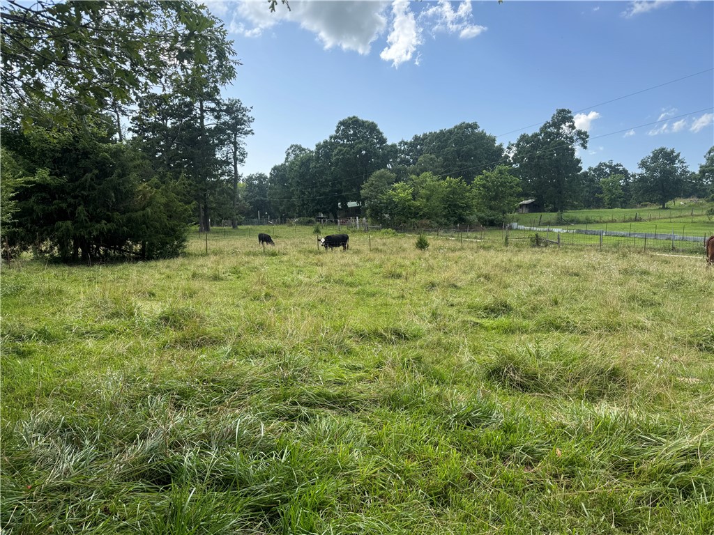 Nestled just off Hwy 74 West in the heart of Newton County, this 12.8-acre property offers the perfect blend of natural beauty, convenience, and opportunity. Located only minutes from Jasper and some of the most iconic destinations in the Ozarksālike the Buffalo National River, Kyles Landing, Ponca, and Steel Creekāthis land is a rare find in a highly sought-after area. Featuring a mix of open pasture, a peaceful pond, and multiple great building sites, this property is ideal for a primary residence, vacation home, or short-term rental cabin. With county road frontage and access to utilities, itās ready for your vision. Enjoy nearby hiking, floating, and outdoor adventure, all while coming home to a quiet, scenic setting. Properties in this corridor donāt come available oftenādonāt miss your chance to own a piece of the Buffalo River lifestyle!