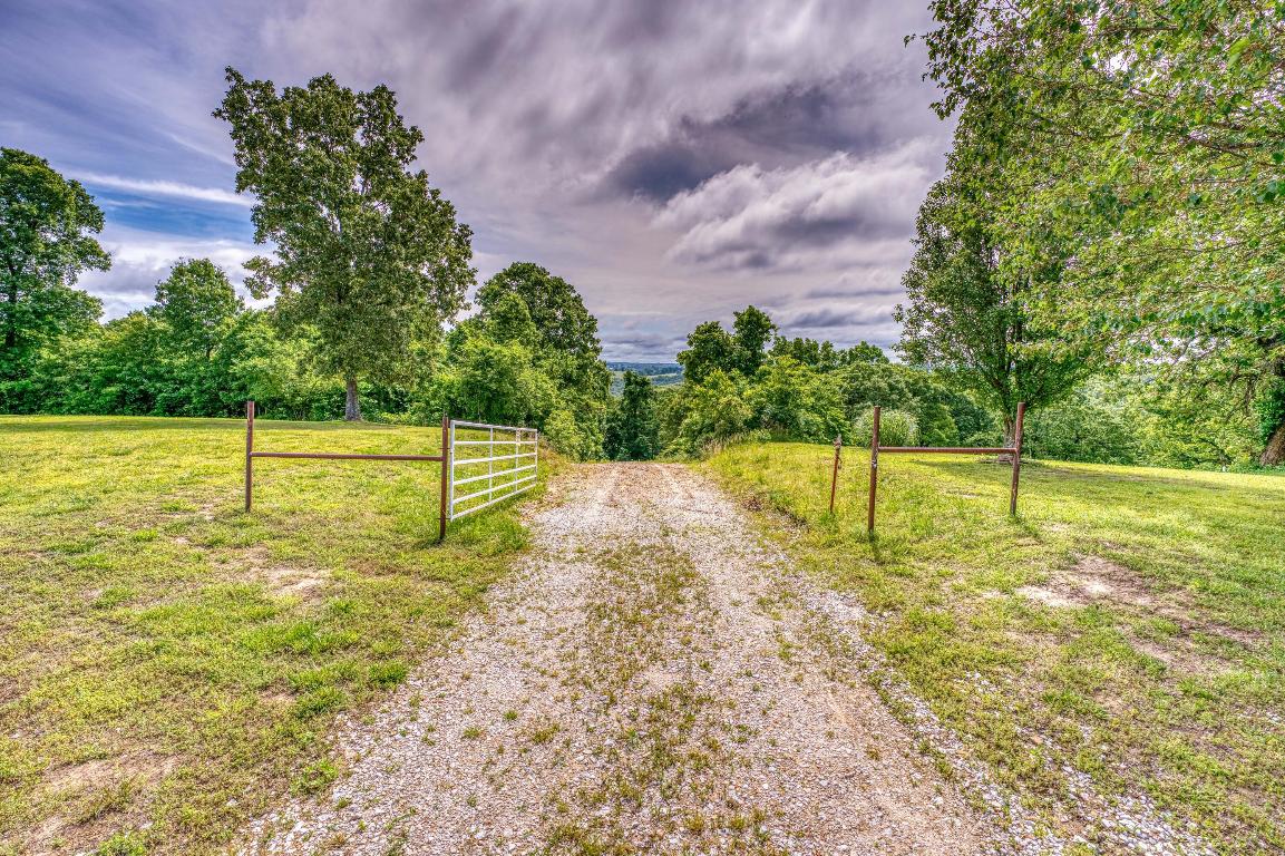 80+ acres between Harrison and Branson. Large timber, and great building sites. Are you looking for hunting property? Lots of deer and turkeys have been seen. End of road only less than a mile off pavement, No restrictions. Buyer to verify available utilities.