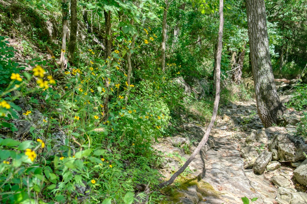 These five lots are located very close to Main Street, Magnetic Spring, and the railroad! In addition to the other 25+ miles of trails in Eureka Springs, this excellent location is a few hundred feet down the street from 18 miles of trails at the Passion Play and 5 miles of trails at Marble Flats. The amazing restaurants, shops, music venues, and hangout spots of downtown Eureka Springs are a short walk away!