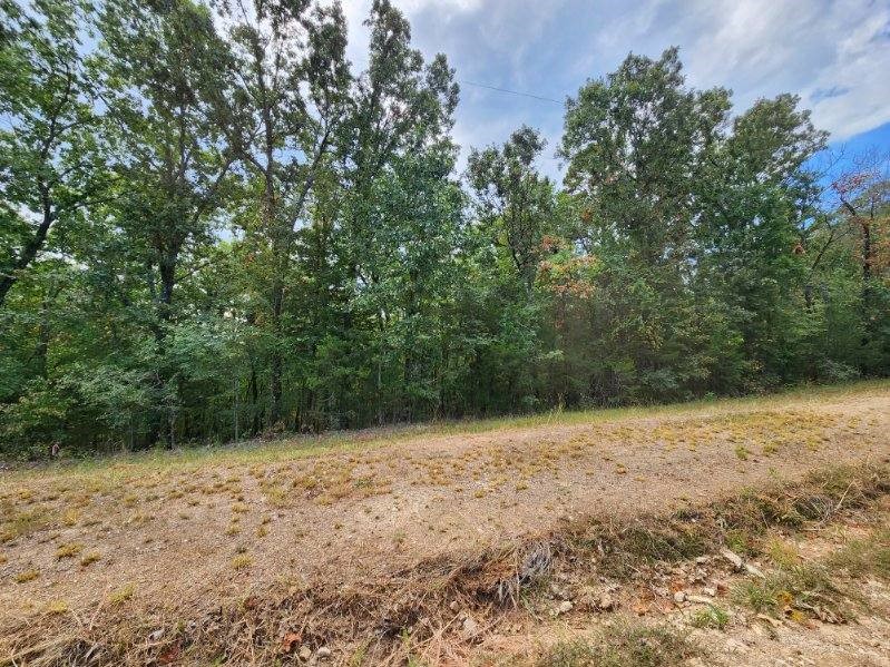 Scott Mountain Unit Ii - Land