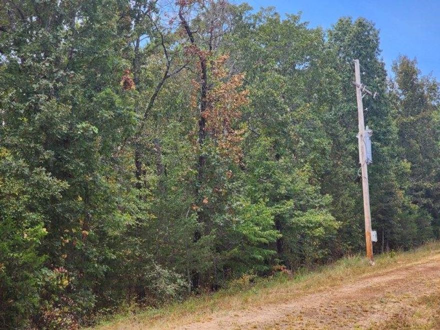 Discover your outdoor paradise! This wooded 4.92 acres (+/-) is a nature lover's dream, nestled near Table Rock and Bull Shoals Lake. Perfect for hunting, hiking, or simply soaking in the beauty of Mother Nature! No utilities or well on site. No restrictions. All #'s are approximate. Survey on file.