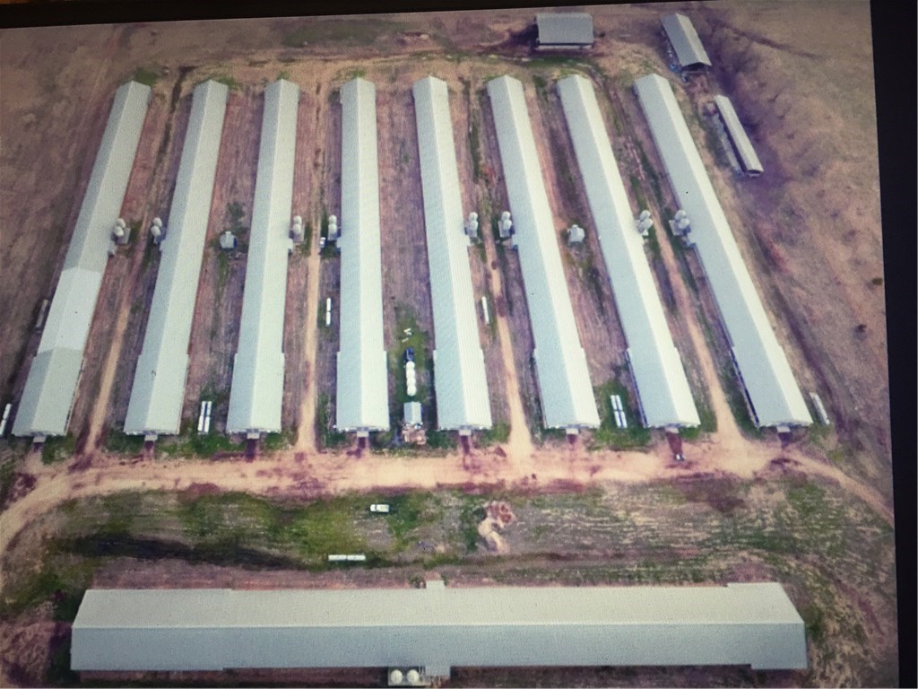 Tyson Noel - 9 house poultry farm *****There aren't a lot of large farms available - this is a great opportunity - (8) 43x530's (2004) & (1) 55x600 (2012), 3 litter shed(s), incinerator, doublewide with additional outbuildings for storage. Land (30.51 ac mol) for livestock or a hay field. The farm sits on Highway (accessible from the highway or the county road). The poultry houses have been well maintained, no known updates, recent quad heaters placed in the houses. Premium pay package with Tyson Noel contract (7 yr) in place. Well and rural water, the seller is owner/operator (no farmhand(s)), ph system is brand new, new well pumps installed, 2 gas chlorine system, wood truss with a gross income of over $500k annually!!! A doublewide with 3 BR/2 BA for your family! Why wait? Book a showing today!
* Equipment is not included, but can be negotiated. **********APPOINTMENT ONLY - BIO-SECURITY MEASURES IN PLACE AT ALL TIMES *************