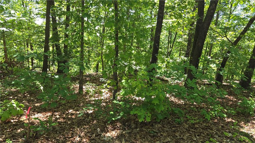 Build your dream home in the heart of Bella Vista on these two adjoining lots totaling approximately .66 acres on Tummell Dr! Enjoy easy access to everything this vibrant community has to offer, including nearby Loch Lomond, scenic walking and biking trails, championship golf courses, tennis courts, parks, restaurants, and more. Whether you’re looking to build a primary residence, vacation retreat, or investment property, this location offers the perfect blend of natural beauty and recreation. Utilities available at the street. Need more space? A third adjacent lot is also available — see MLS #1346781 for additional opportunity with three lots totaling ~.99 acres. Don’t miss your chance to own property in one of Northwest Arkansas’ most sought-after communities!