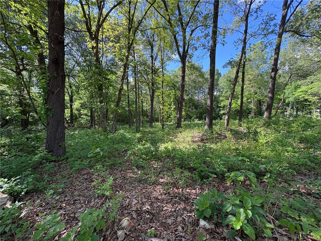 Beautiful, partially cleared interior lot just about a mile off Highway 65 in Ridgeway Meadows. Gently rolling and partially level with slight slop-great for flexible home designs. Mature trees offer shade and character. Peaceful setting just 10 minutes to the heart of Harrison and 30 minutes to Branson. Electricity and water are available at the site; septic is needed. Great opportunity to build in a quiet, well-established neighborhood. The neighboring lot is also available. Contact the agent for info.