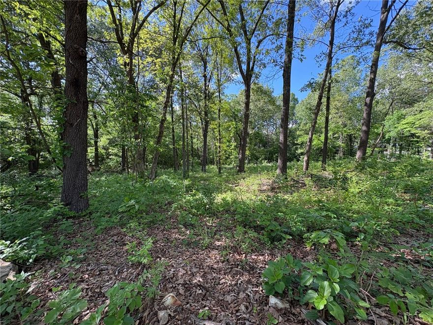 Beautiful, partially cleared interior lot just about a mile off Highway 65 in Ridgeway Meadows. Gently rolling and partially level with slight slop-great for flexible home designs. Mature trees offer shade and character. Peaceful setting just 10 minutes to the heart of Harrison and 30 minutes to Branson. Electricity and water are available at the site; septic is needed.  Great opportunity to build in a quiet, well-established neighborhood. The neighboring lot is also available. Contact the agent for info.