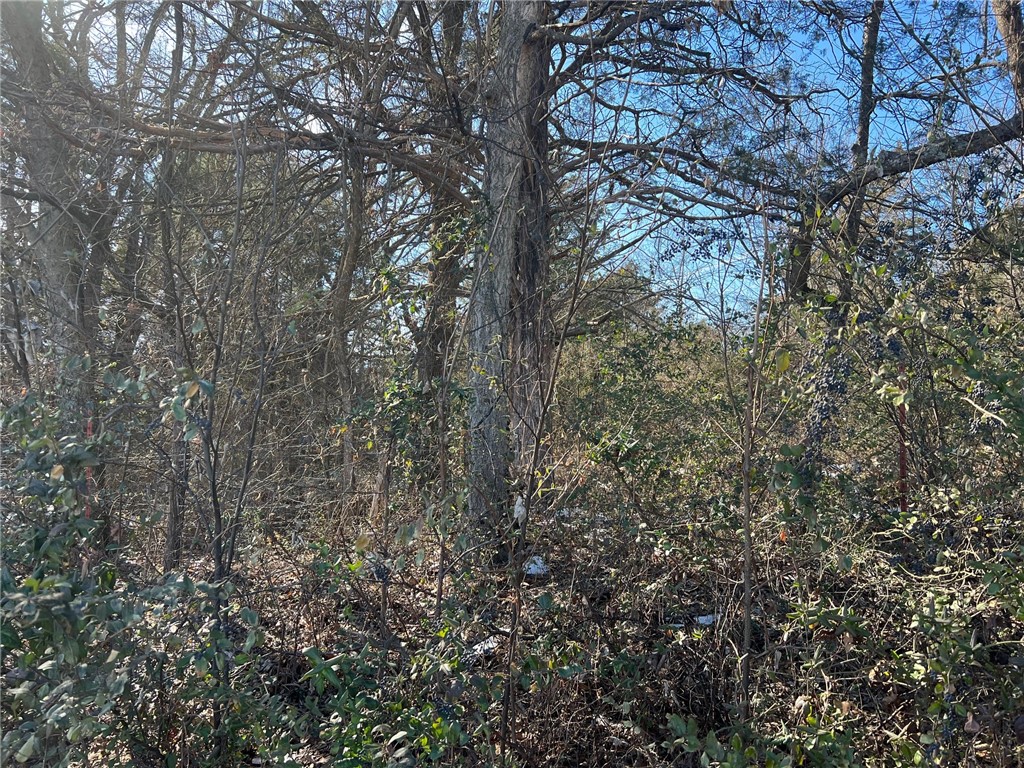 Magness Add Ii - Land