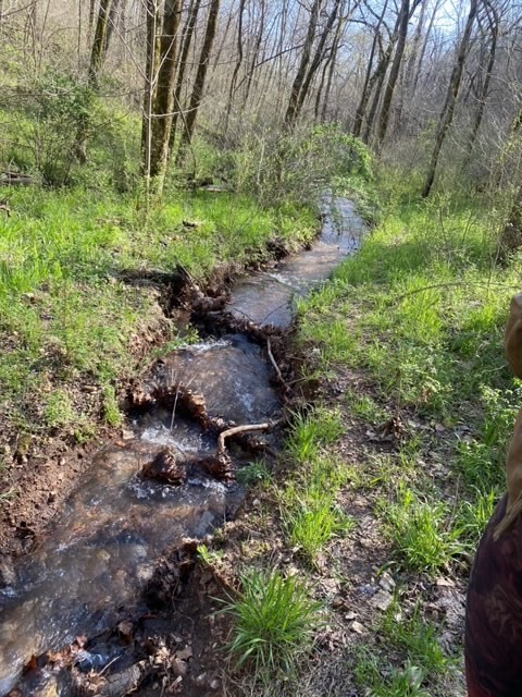 Woodridge Manor Rurban - Residential