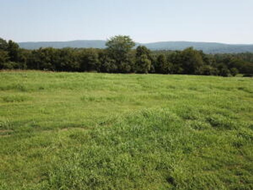 Explore this incredible 5.65- acre property with breathtaking views of the White Oak and Iron Ore Mountains. Ideal for your dream home, a horse sanctuary, or livestockCurrently a lush hayfield, it's ready for your vision. Don't miss this exceptional opportunity!!!