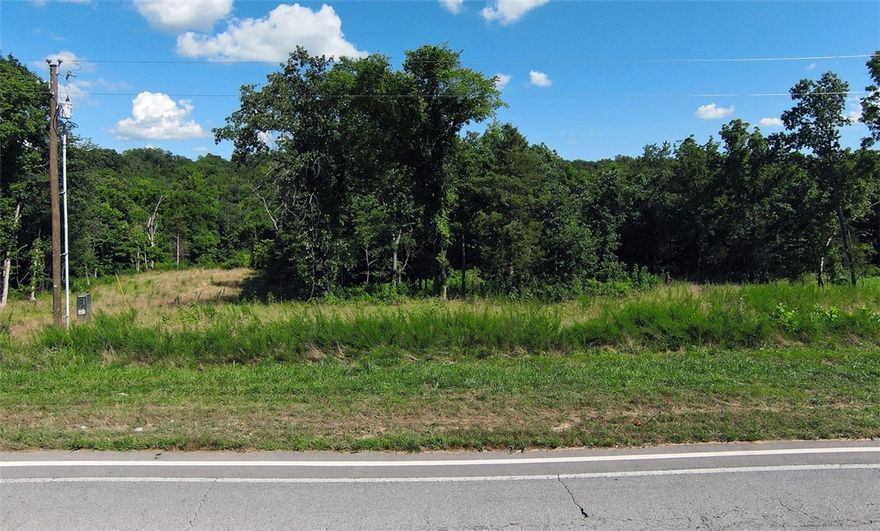 Here's your opportunity to build in the coveted Gordon Hollow area. The Tunnel Vision trail is right out your future front door and minutes from lakes, golf, and everything Bentonville has to offer. This is a slice of natural beauty blended with a feeling of getting away from it while having great NWA access. The large lots lend themselves aptly for the 2000 sq/ft minimum that is required on here at Gordon Hollow. Grab your chance to craft your dream home in one of Bella Vista's most desirable pockets.