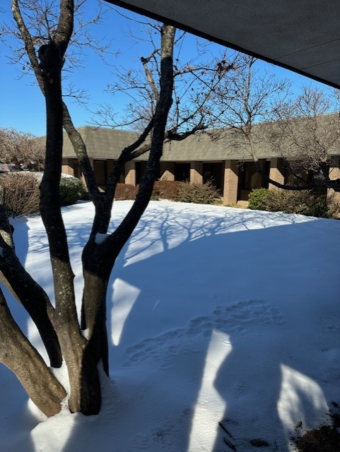 College Market Add - Commercial Lease