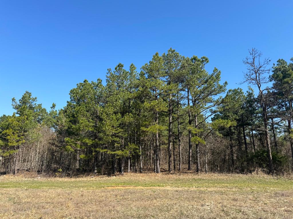 Five acres located off of Hwy 74 East in Newton County, Arkansas. Property has pine timber and some pasture. Rural water and electric are available.