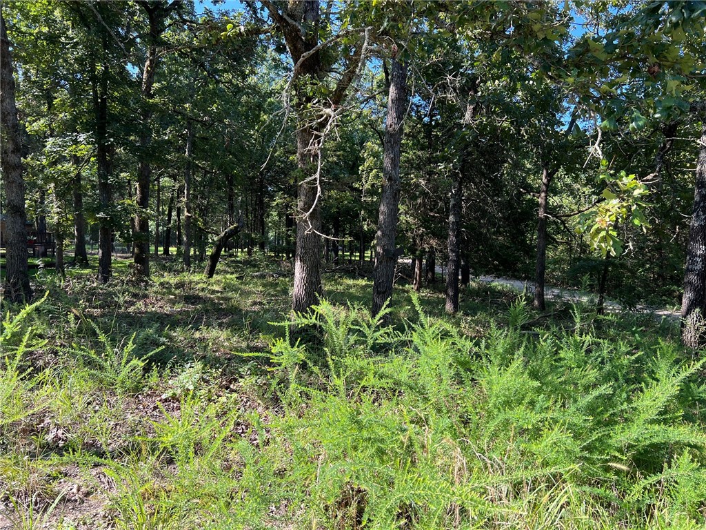 Almost level corner lot with paved road access. There are some gorgeous large hardwoods on this lot to pick from when you choose the tree to hold your swing. Lot is 76 x 120. 1000 SF minimum build restriction. Water and sewer are available, but sewer will need a grinder pump.