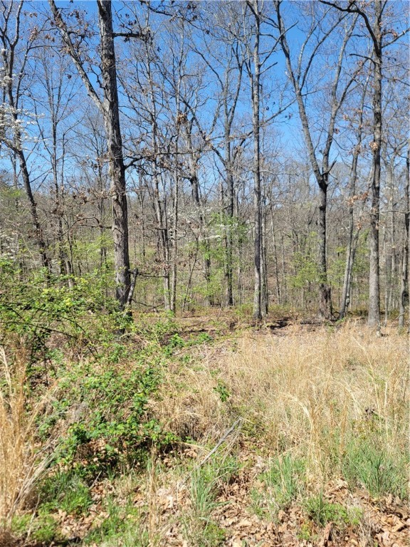 Buildable lot in Bella Vista! Great lot on a cul-de-sac in Bentonville schools. This lot is on the east side of Bella Vista and offers the opportunity to have access to all the Bella Vista amenities! Bella Vista is a recreational community with so much to do. Close to Bentonville and the Wal-Mart home office, the community of Bella Vista has 7 golf courses, a practice and driving range, 7 lakes for fishing and boating and swimming, a private POA beach at Lake Avalon, miles of hiking and biking trails, swimming pools, parks and pavilions, an RV park and campground, dog park, gun range, tennis, 3 fitness facilities, mini golf, disc golf, Pickleball and more! This community has a lot to offer with an affordable POA of just $16/month for unimproved lot to gain access to all the amenities Bella Vista has to offer!