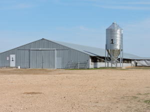 100 acre turkey farm with current Butterball contract. 6 turkey houses (2-50'x540', 2-50'x360', and 2-50'x180'). Beautiful 4 bedroom, 4 bath home with office/den and storage areas. Nice kitchen with stainless steel appliances. Large master bedroom with walk-in closet, jetted tub and separate shower. Living room has a gas log fireplace. Newer above ground salt water pool and decking. Pasture.Woods.