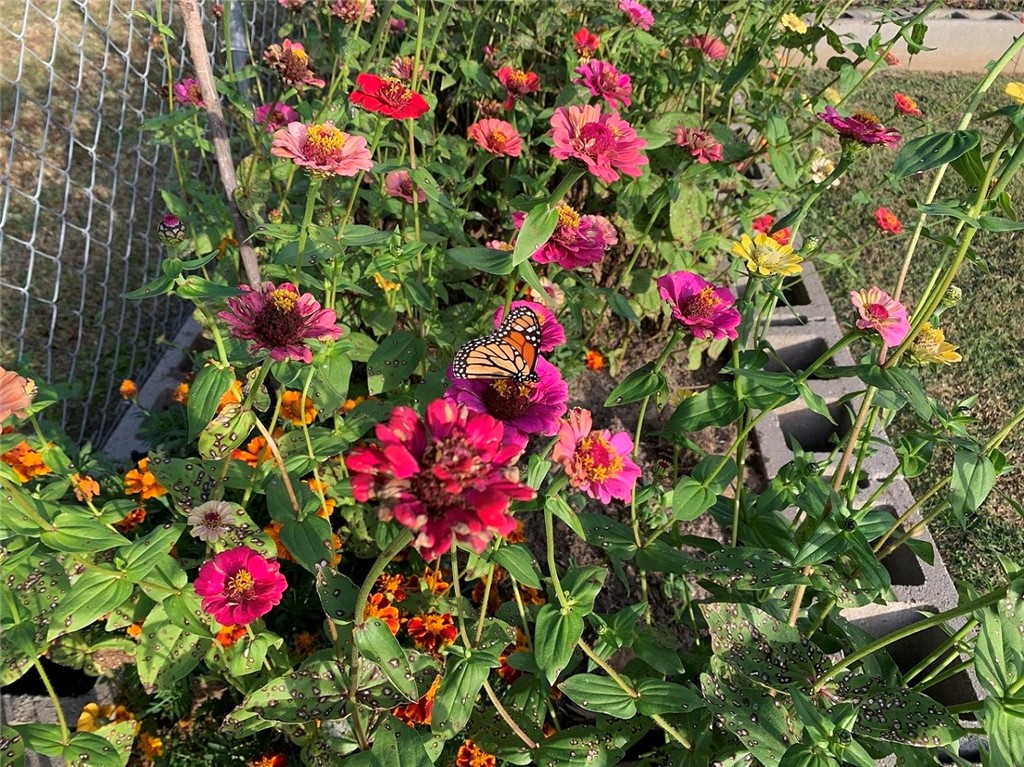 Sweeden Road Acres - Residential