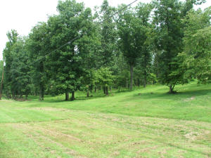 Nice lot near Bull Shoals Lake in lake subdivision with large scattered trees and road frontage. Carport, electric. Build your dream home here!