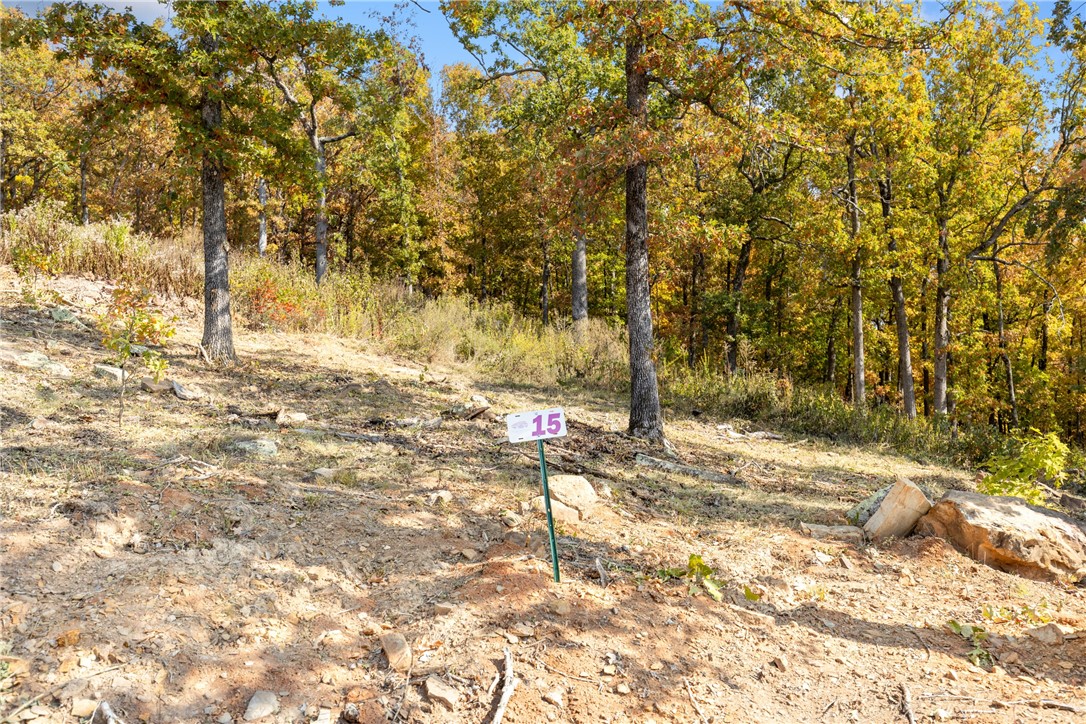 Welcome to Lot 15 (1.0 m/l ac) of Round Mountain Estates! This lots lays perfectly with a gentle slope, faces the south/southwest and will have beautiful sunset views over the mountain top to the west! RME is a new, master planned, exclusive subdivision located 10 minutes west of Harrison, AR. The following utilities are already on site making the building process much easier for you; natural gas, fiber optic internet, electric, public water, and sewer. Interested in your family seeing the star lights instead of those city lights? RME is what you've been searching for! RME features a 350 +/- acre common area for its residents that includes a stocked fishing pond, Kissing Rock trail, natural springs to explore, Baby Canyon trail, incredible bluff lines to climb, and views for hundreds of miles that will not only take your breath away but will forever be etched in your memory! Neighborhood amenities coming soon.