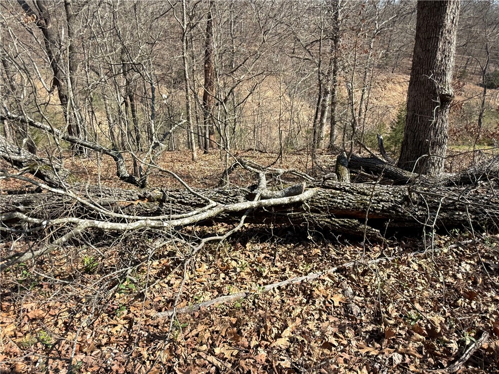 Berkshire Sub Bvv - Land