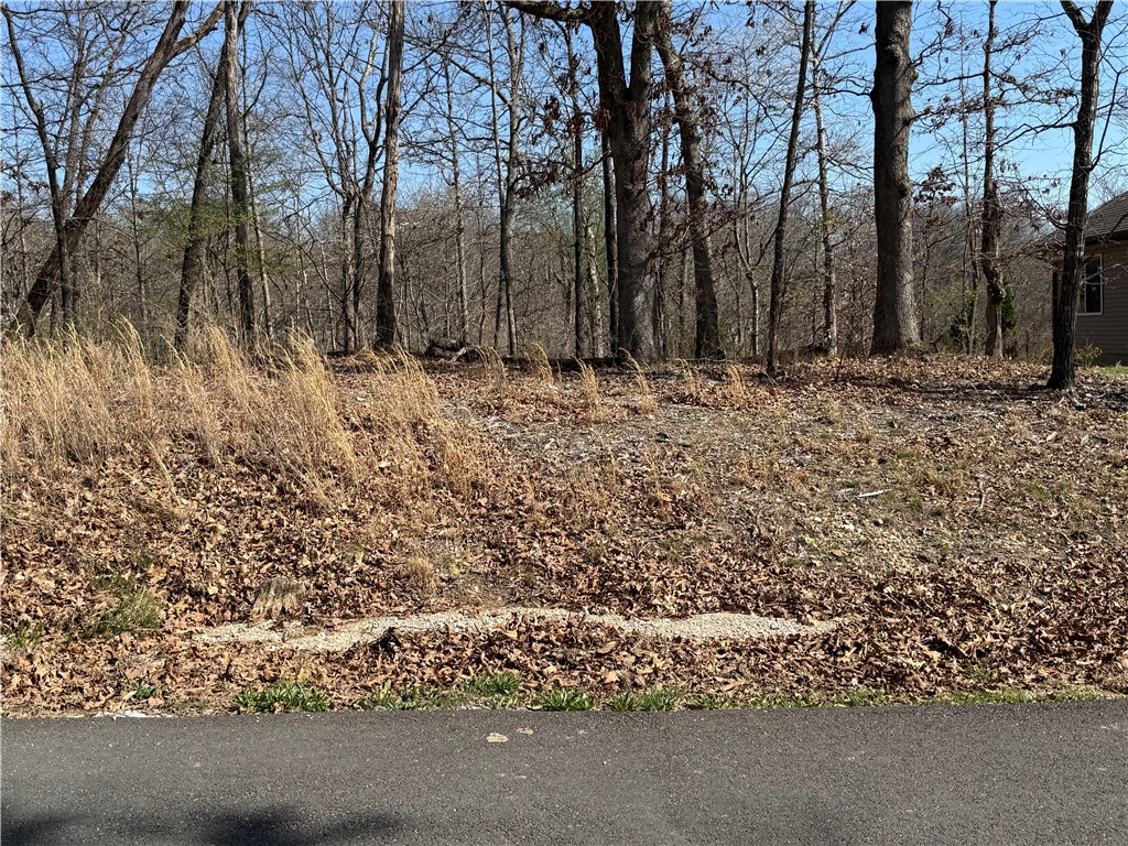 Berkshire Sub Bvv - Land