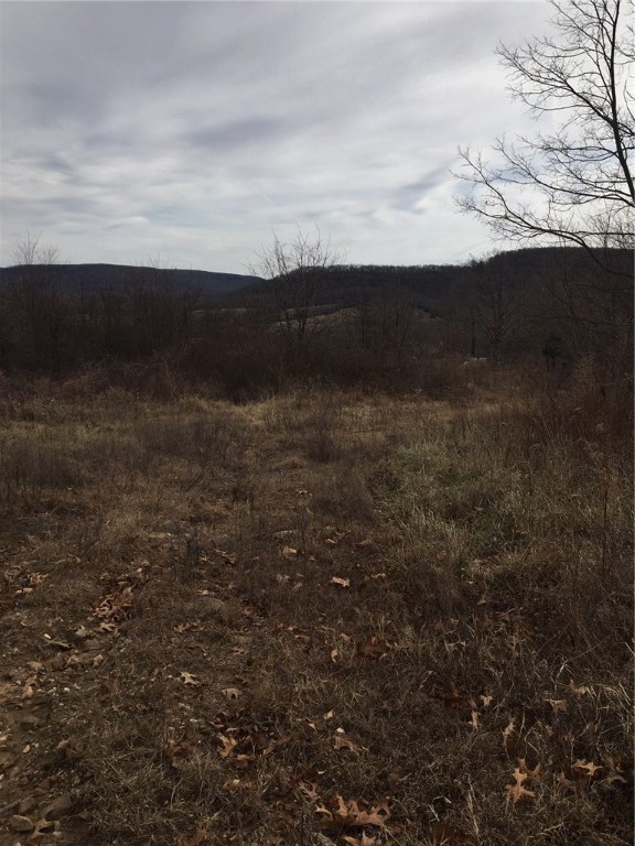 Two tracts of land totaling 38.63 acres. Legal easement between both tracts. Rolling hills with trees. A lot of debris is on the property. Seller is selling property (AS IS ) (WHERE IS). New survey showing 38.63 acres.