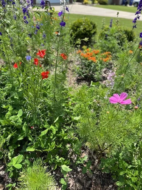 Lowell, Arkansas 72745, United States, 3 Bedrooms Bedrooms, ,2 BathroomsBathrooms,Residential,Pending,141910