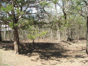 Small lot in lakeside subdivision on Bear Creek Arm of Bull Shoals Lake. Electric available. May have winter lake views. All's approximate.
