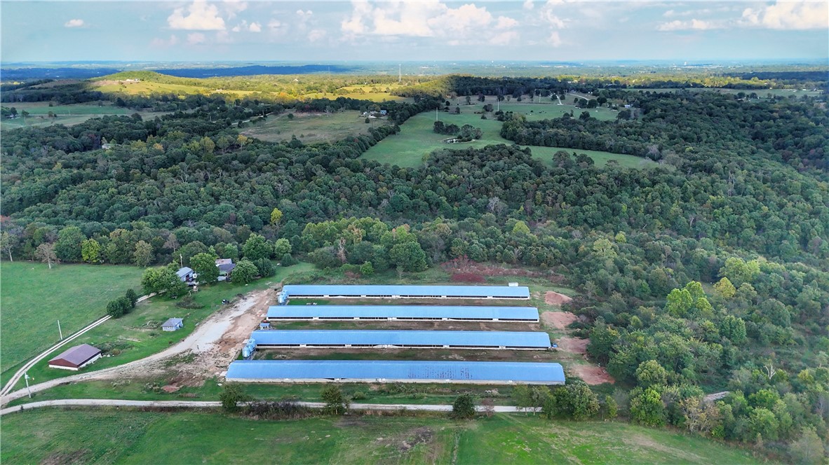 37 acre Turkey Farm--Looking for a great investment? This 37 acre turkey farm offers everything you need:
4 well maintained Butterball turkey houses, ready for new birds; generator backup system, 4 bedroom home, perfect for living on site. Excellent location-private and peaceful, yet just minutes from town!
Whether you're expanding your poultry operation or starting fresh, this farm is set up and ready to go. Don't miss out on this great opportunity.