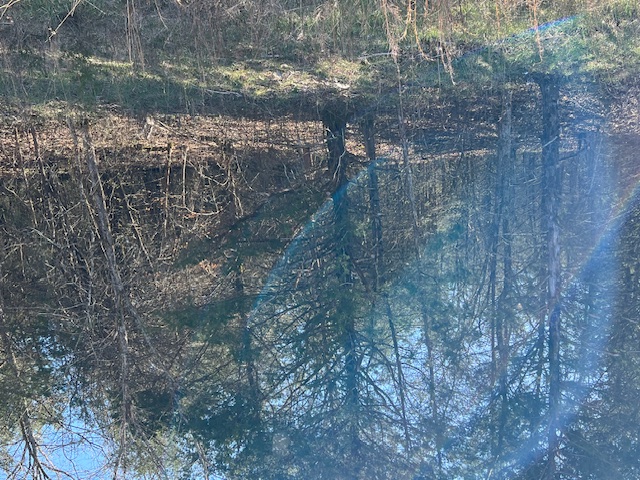 Unit 7 Holiday Island - Land