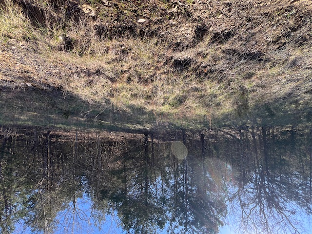 Unit 7 Holiday Island - Land