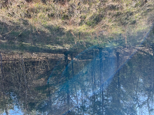 Unit 7 Holiday Island - Land