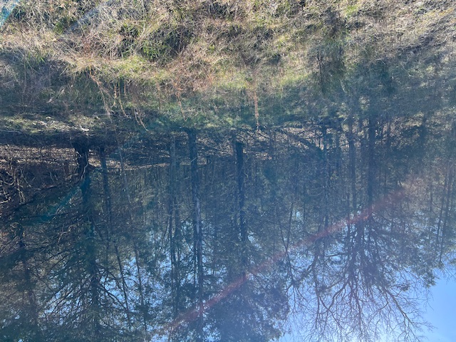 Unit 7 Holiday Island - Land