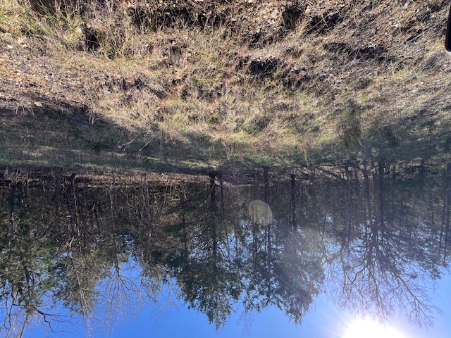 Unit 7 Holiday Island - Land