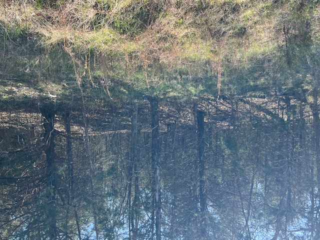 Unit 7 Holiday Island - Land