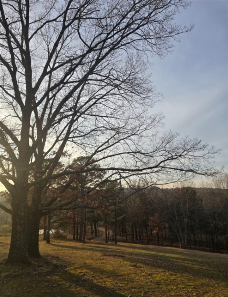 Cedarville City AR 25-11-32 - Residential