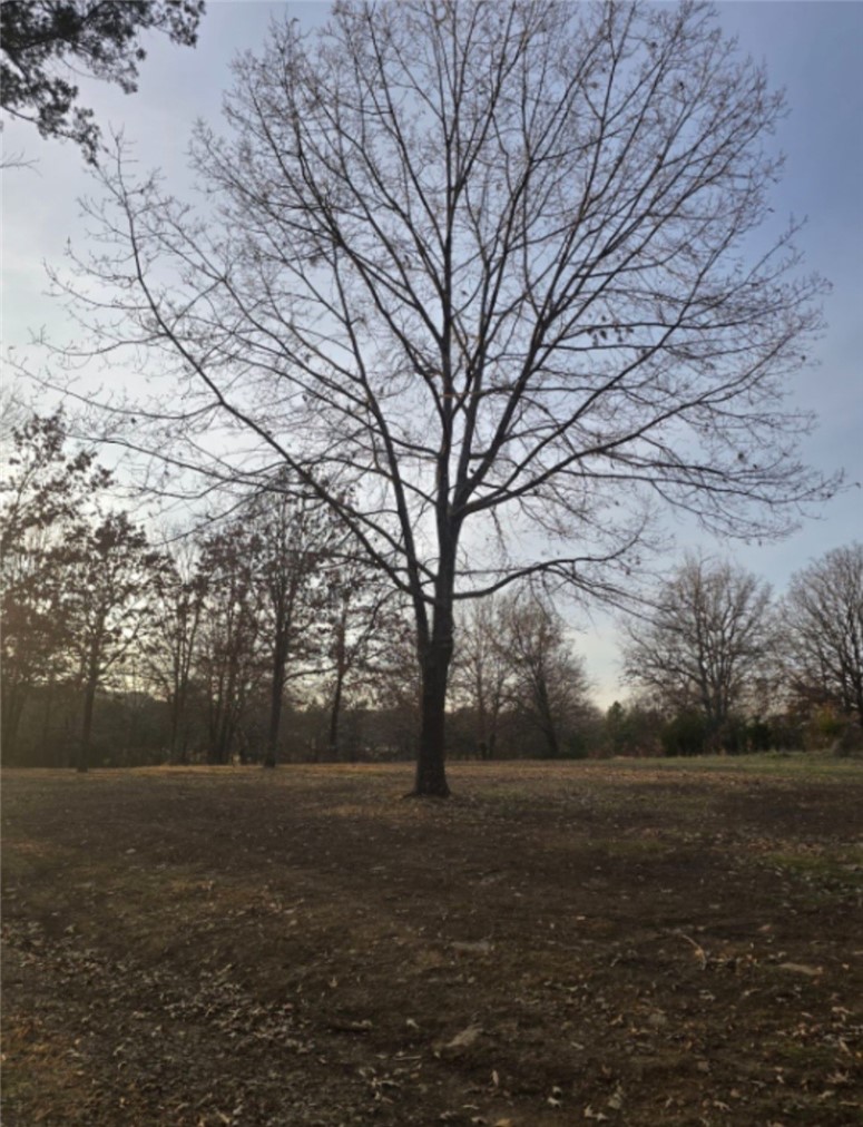 Cedarville City AR 25-11-32 - Residential